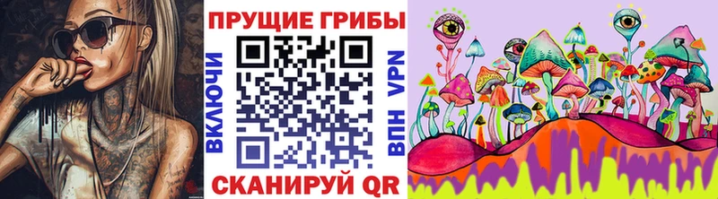Галлюциногенные грибы Psilocybe  Купить  Ясный 
